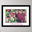 Suche nach bunte blumen poster Farbenfroh