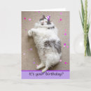 Recherche de felines toutes vœux cartes Mignon