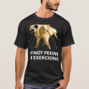 Recherche de exercé Animal