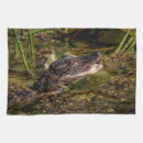 Suche nach amphibien geschirr tücher Wasser