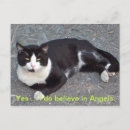 Recherche de humour chat cartes postales Animal