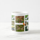 Suche nach häschen trinkgefäße Haustier