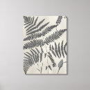 Suche nach farne leinwandbilder Botanische studien