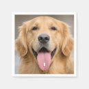 Recherche de golden retriever serviettes Mignon