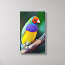 Suche nach tropische vögel leinwandbilder Natur