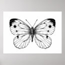 Suche nach weißer schmetterling poster Darstellung