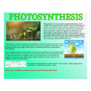 Suche nach fotosynthese poster Biologie