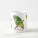 Recherche de perruche verte tasses Nature