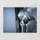 Recherche de ange fille cartes postales Pour tous