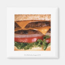 Suche nach cheeseburger magnete Käse