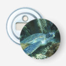 Recherche de tortue mignonne ouvre bouteilles Tortue de mer