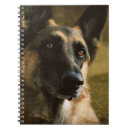 Recherche de policiers carnets Berger allemand