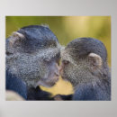 Suche nach mutter afrika poster Ie