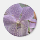 Suche nach lila orchidee magnete Blume