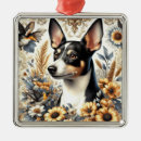 Suche nach rattenfänger ornamente Hunde