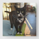 Recherche de mignon de chat de kitty art Chats