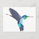 Recherche de colibri bleu cartes postales Bourdonnement