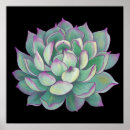 Suche nach succulents poster Wüste