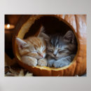 Suche nach cosy poster Katze
