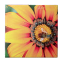 Suche nach honigbiene fliesen Tag