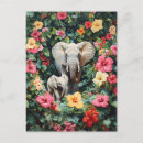 Recherche de veaux cartes postales Éléphant