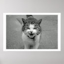 Recherche de de chat posters Noir et blanc