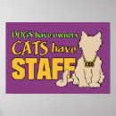 Recherche de cat posters Pets