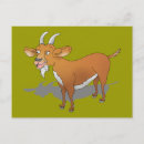 Recherche de barbu cartes postales Chèvre