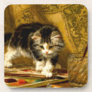 Recherche de chaton drôle dessous de verres Jouer