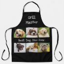 Recherche de chien tabliers Noir et blanc