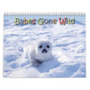 Suche nach polaren kalender Bären