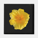 Suche nach gelbe blumen magnete Mother