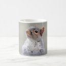 Recherche de crétin tasses Écureuil
