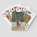 Recherche de animal photography Wildlife