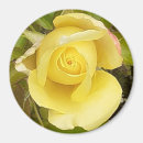 Suche nach rosenknospe magnete Botanisch