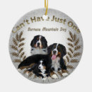 Recherche de stuffer de bas ornements Chien