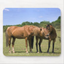 Suche nach ponys mousepads Stute
