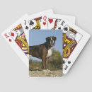 Recherche de culottes jeux de cartes Chien