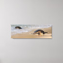 Suche nach maui leinwandbilder Ozean