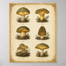 Suche nach vintage botanik poster Cottagecore