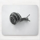 Suche nach schnecken mousepads Natur