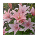 Suche nach rosa lilie fliesen Blume