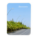 Recherche de canaris magnets Espagnol