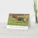 Recherche de alsacien vœux cartes Chien