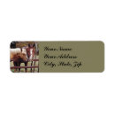 Recherche de horse labels Country
