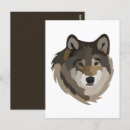 Suche nach wolf im wald postkarten Grau