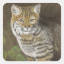 Recherche de bobcat autocollants Faune