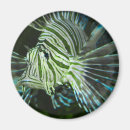 Recherche de m grincheux magnets Coloré