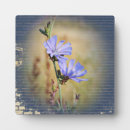 Suche nach stein fotoplatten Blume