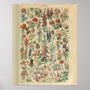 Recherche de millot posters Vintage